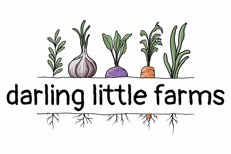 Darling Little Farms Plymouth House Community Garden